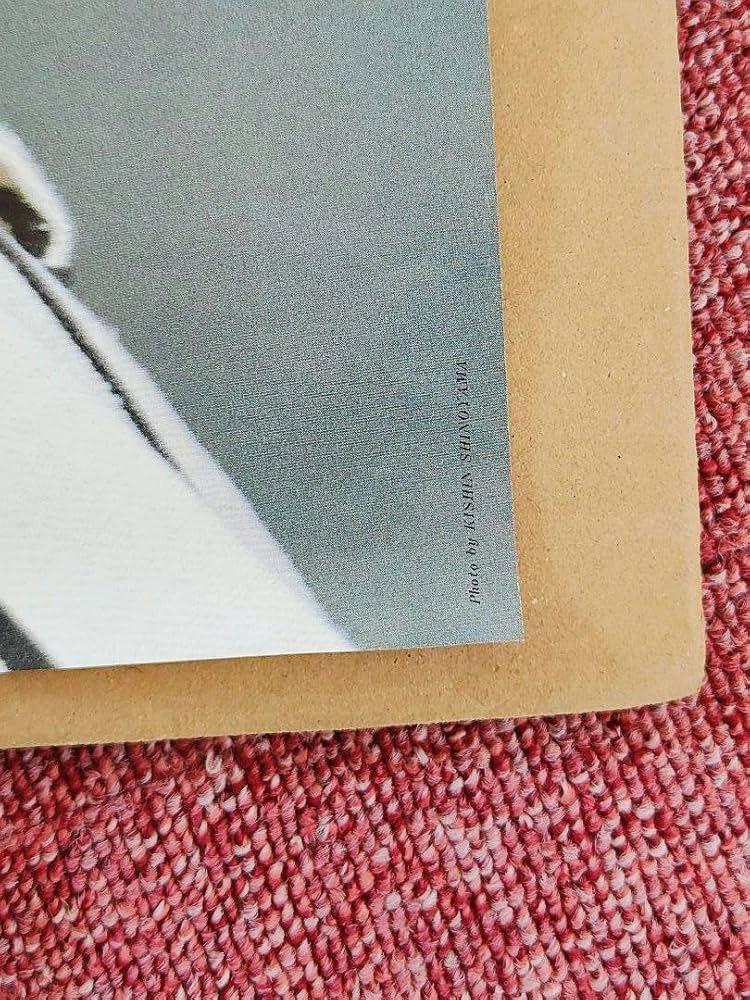 Amazon.co.jp: 中森明菜ポスター 1980年代 photo by 篠山紀信